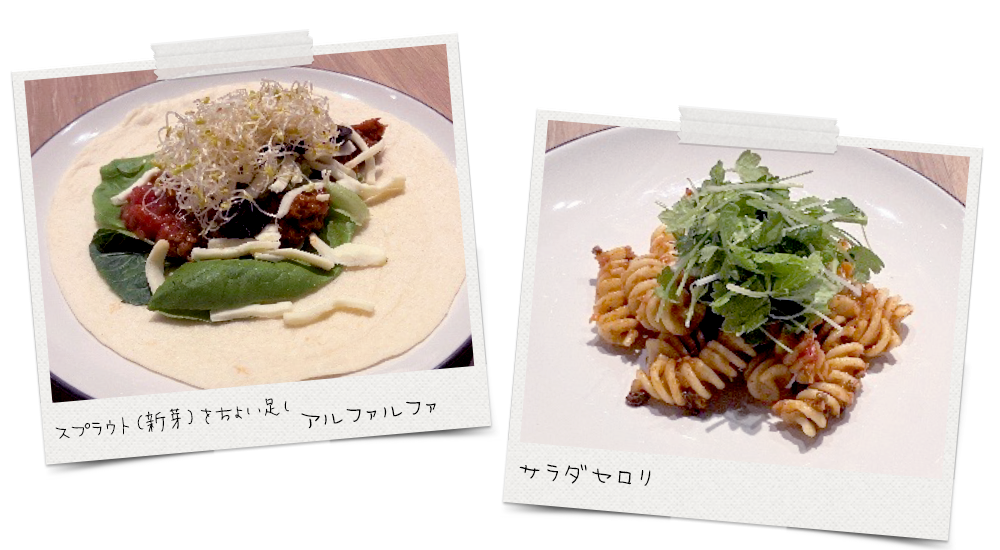 pic_20240725_05.png